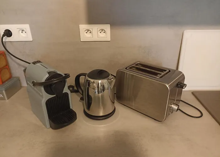 T3 Renove Climatise Avec Balcon Et Wifi Au Coeur De - Fr-1-338-595 *